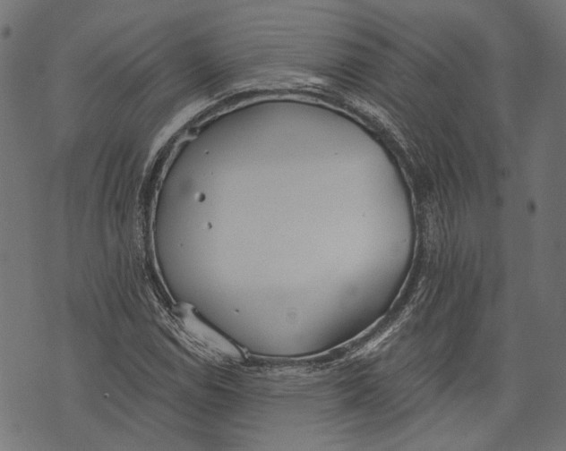 X0000073951114200609181354