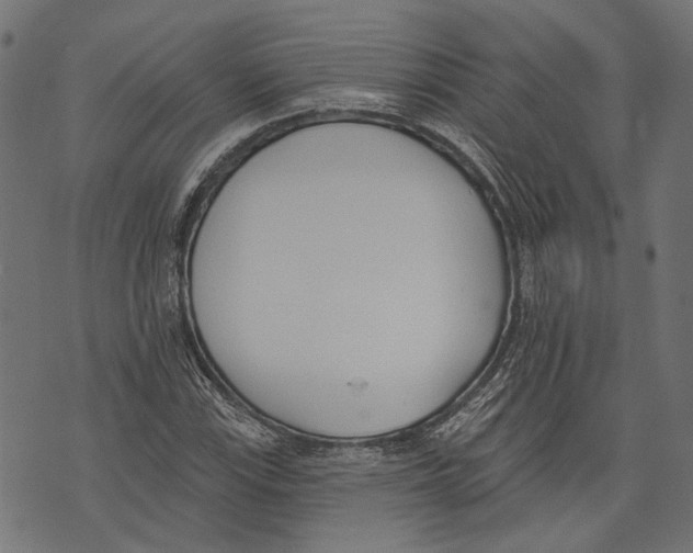 X0000073951115200609181354