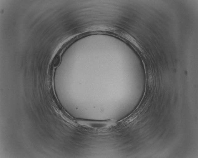 X0000073951116200609181354