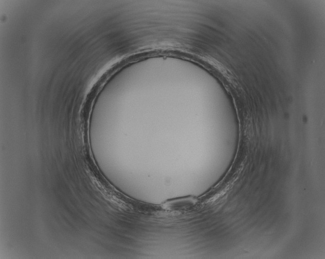 X0000073951118200609181354