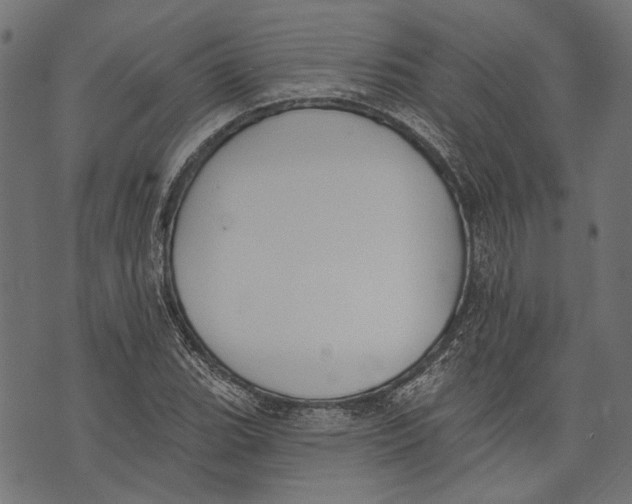 X0000073951119200609181354