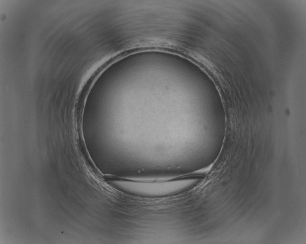 X0000073951120200609181354