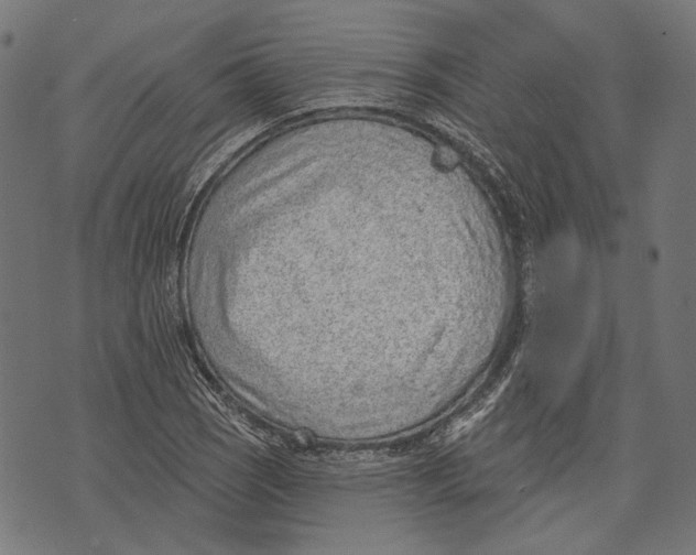 X0000073951121200609181354