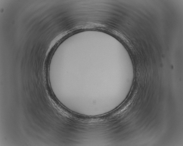 X0000073951122200609181354