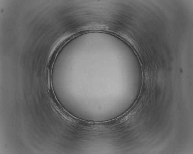 X0000073951123200609181354