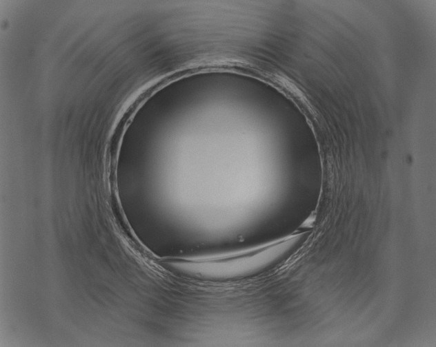 X0000073951124200609181354