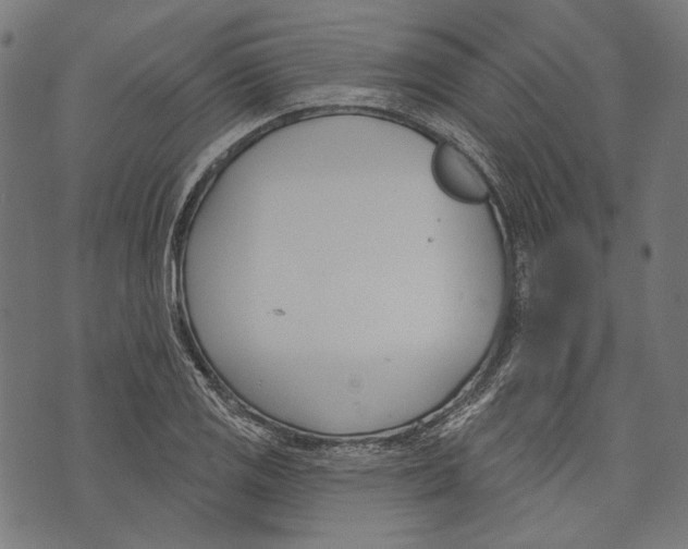 X0000073951125200609181354