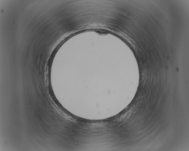 X0000073951126200609181354