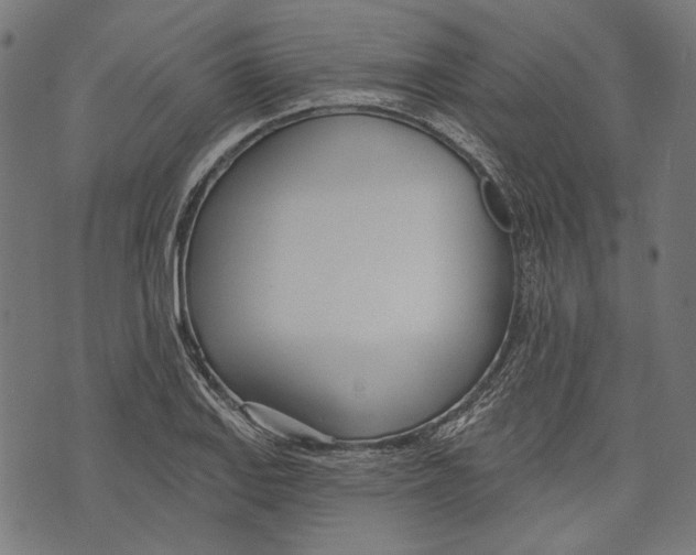 X0000073951127200609181354