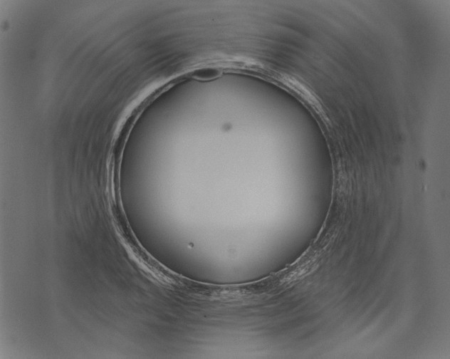 X0000073951128200609181354