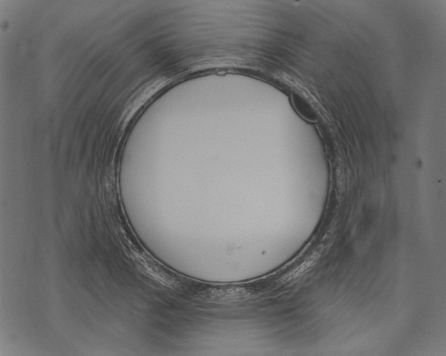 X0000073951129200609181354