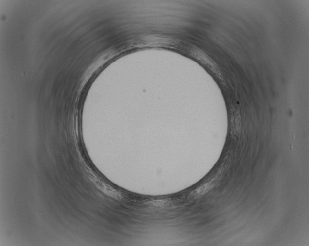 X0000073951130200609181354