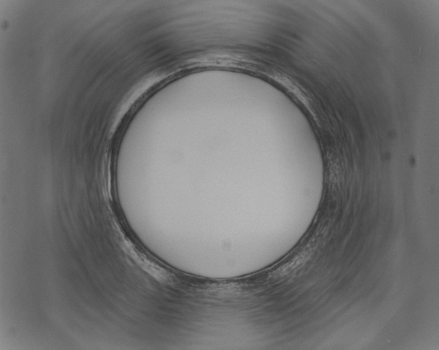 X0000073951131200609181354