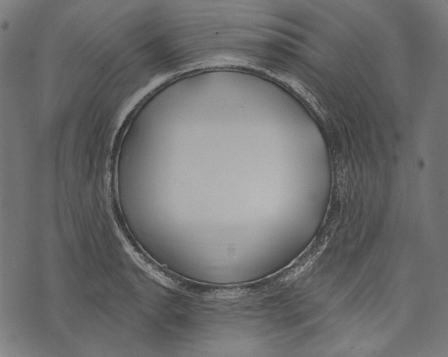 X0000073951134200609181354