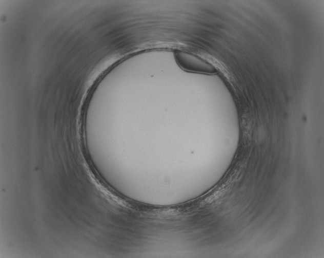 X0000073951135200609181354