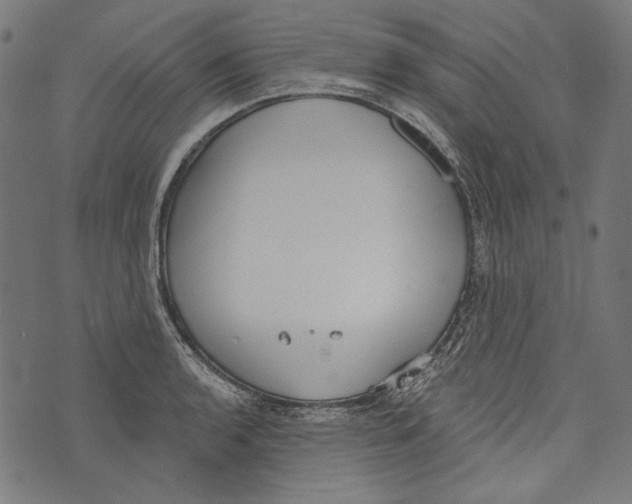 X0000073951136200609181354