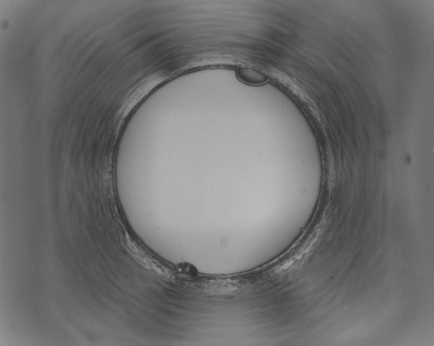 X0000073951137200609181354