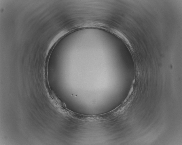 X0000073951138200609181354