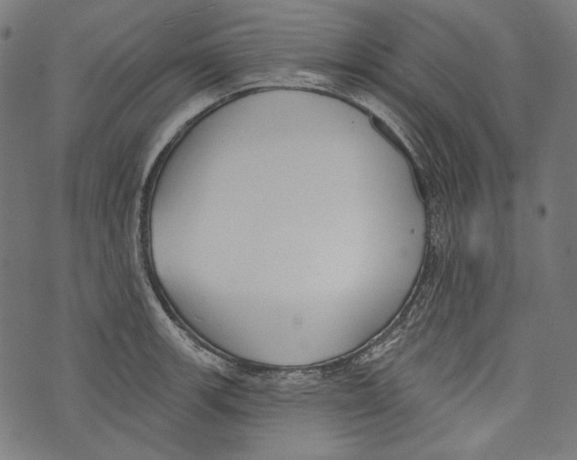 X0000073951139200609181354