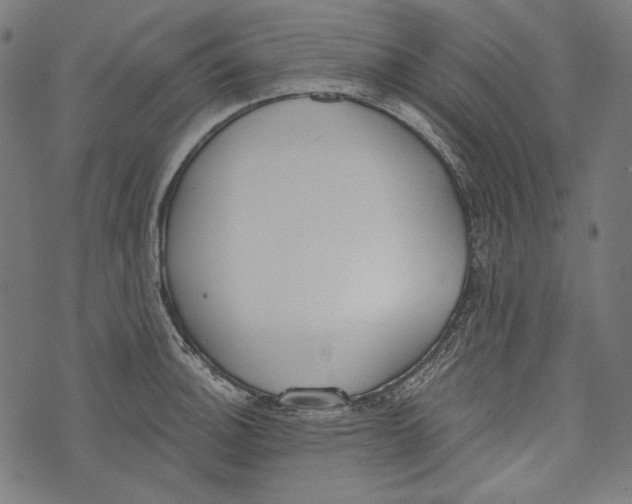 X0000073951140200609181354