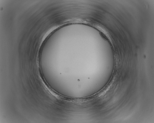 X0000073951141200609181354