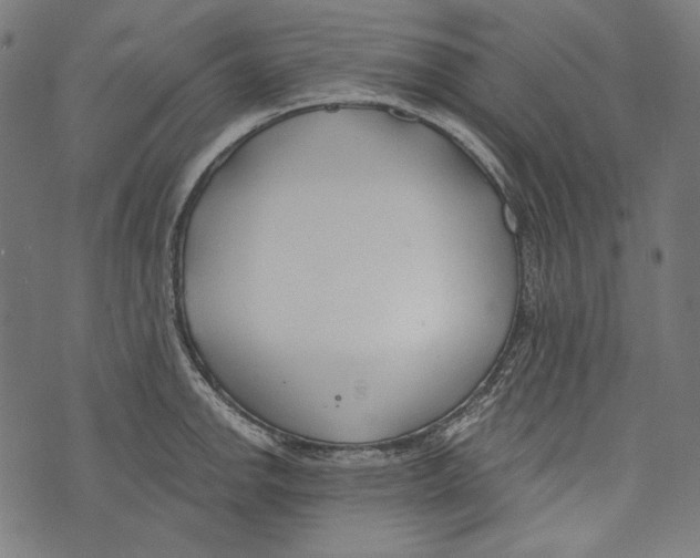 X0000073951142200609181354