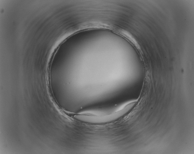 X0000073951144200609181354