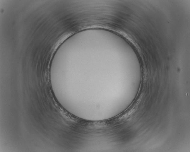 X0000073951145200609181355