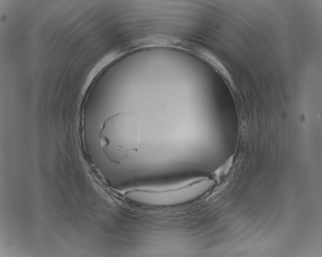 X0000073951146200609181355