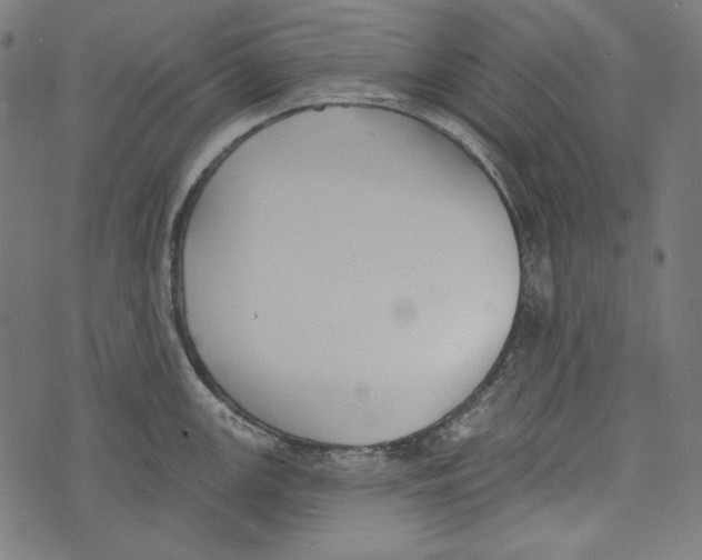 X0000073951147200609181355