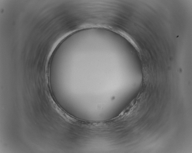 X0000073951148200609181355