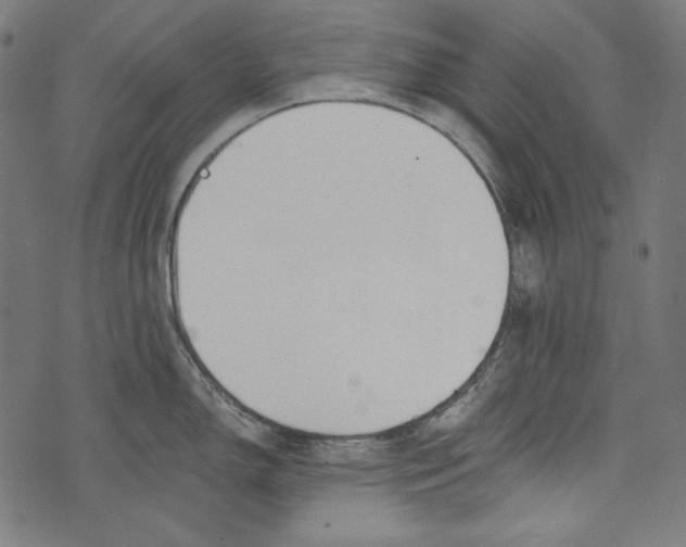 X0000073951150200609181355