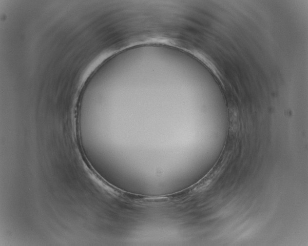 X0000073951151200609181355