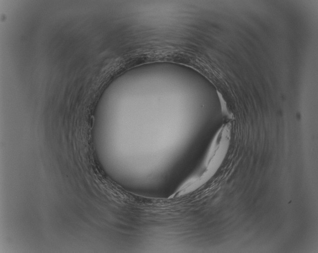 X0000073951153200609181354