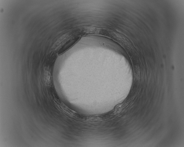 X0000073951154200609181354