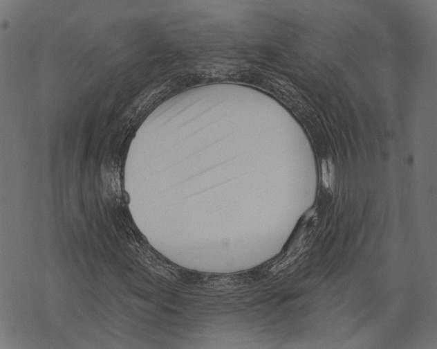 X0000073951155200609181354