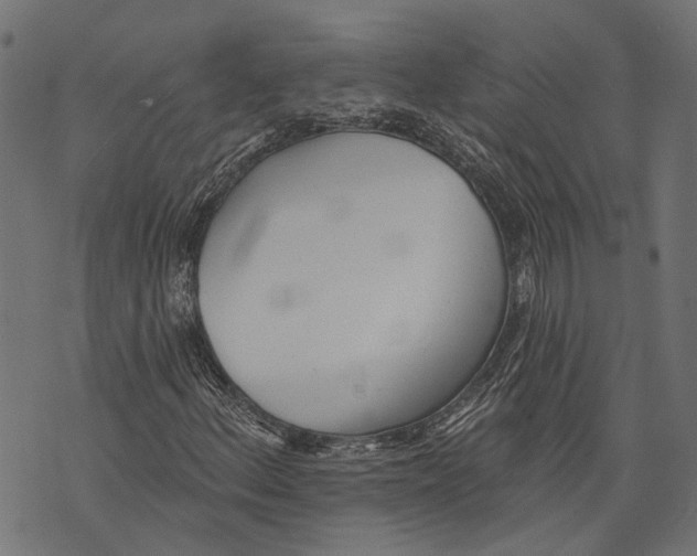 X0000073951156200609181354