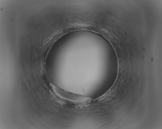 X0000073951157200609181354