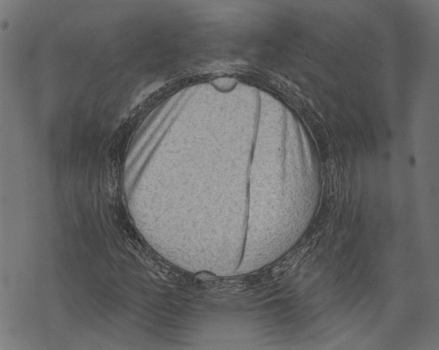 X0000073951158200609181354