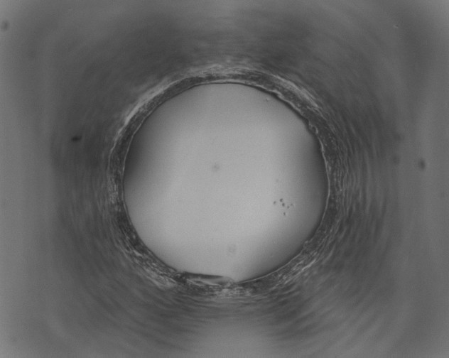 X0000073951160200609181354