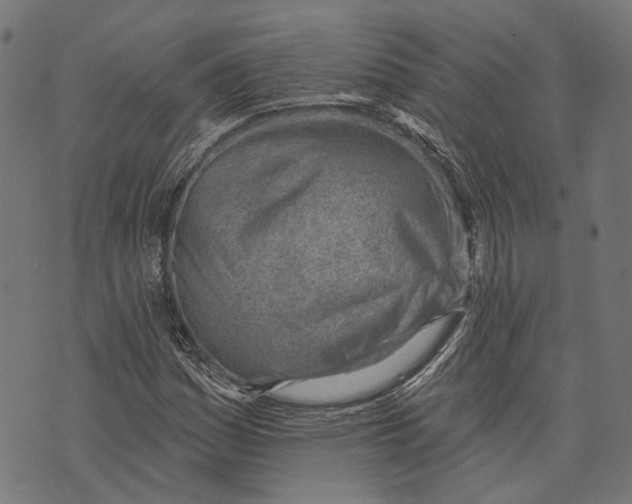 X0000073951161200609181354