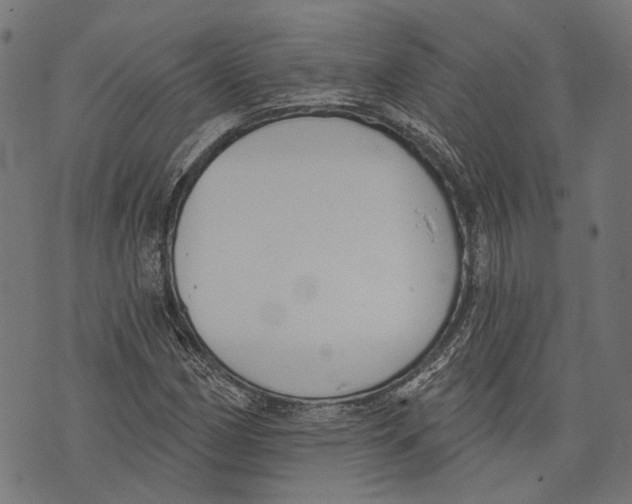 X0000073951162200609181354