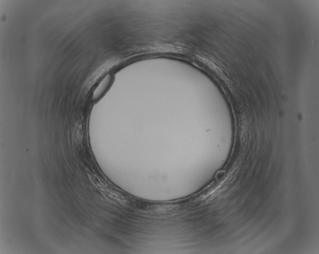 X0000073951163200609181354