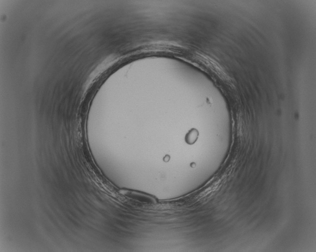 X0000073951164200609181354