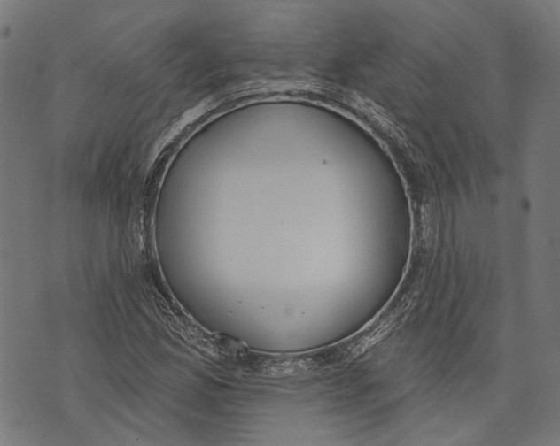 X0000073951165200609181354