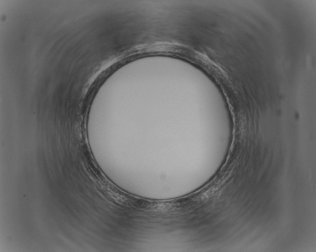 X0000073951166200609181354