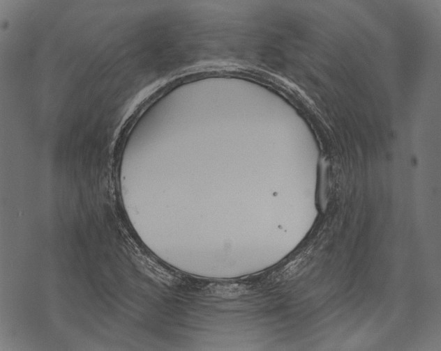 X0000073951168200609181354