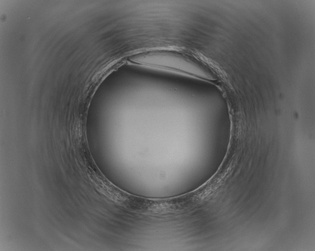 X0000073951169200609181354