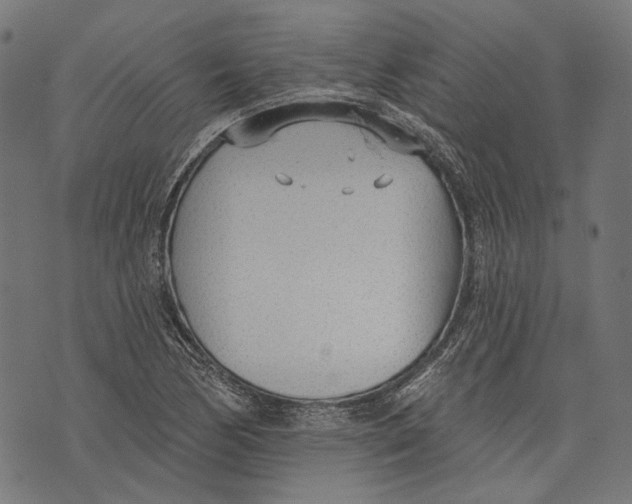 X0000073951170200609181354