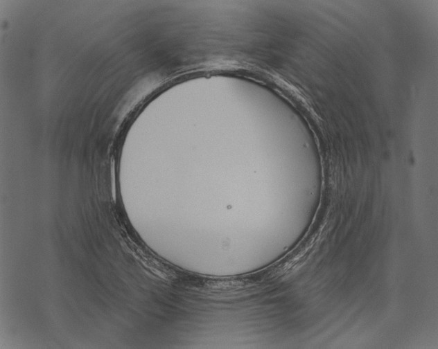 X0000073951171200609181354